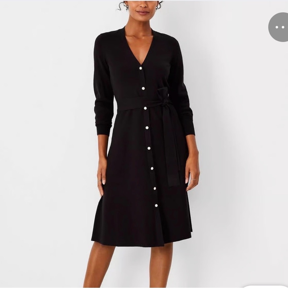 Ann Taylor Belted Sweater Dress with Pearl Buttons. Petite XL (PXL)